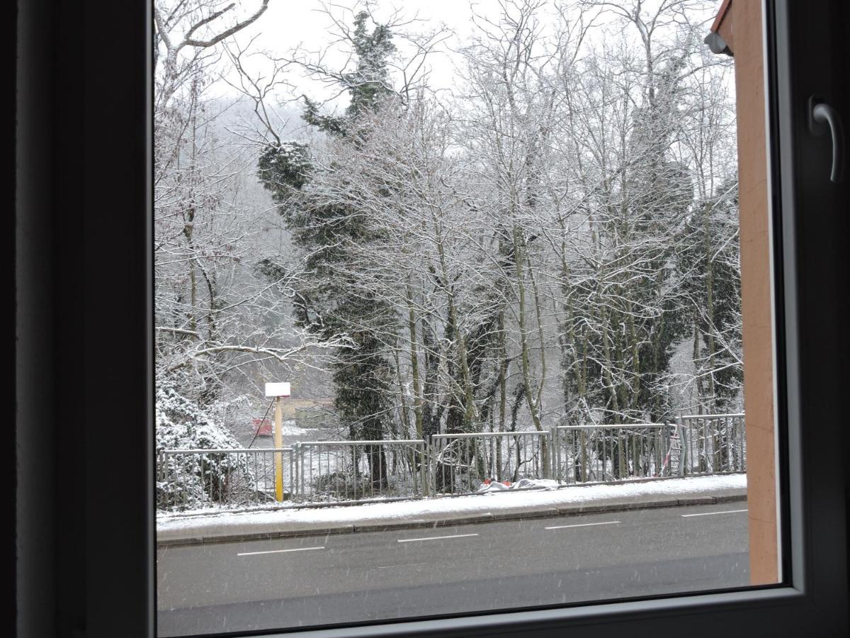 Ferienwohnungen Haus Scheidter 40 Saarbrücken Dış mekan fotoğraf